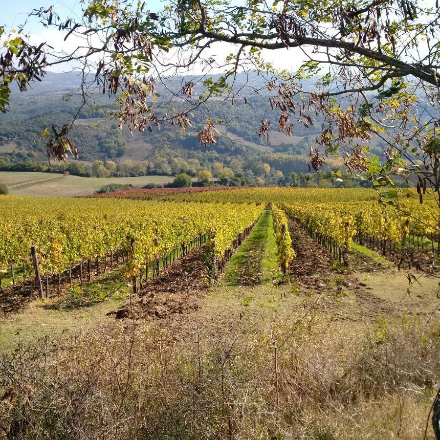 Agriturismo Podere Del Vescovo Montenero d'Orcia المظهر الخارجي الصورة