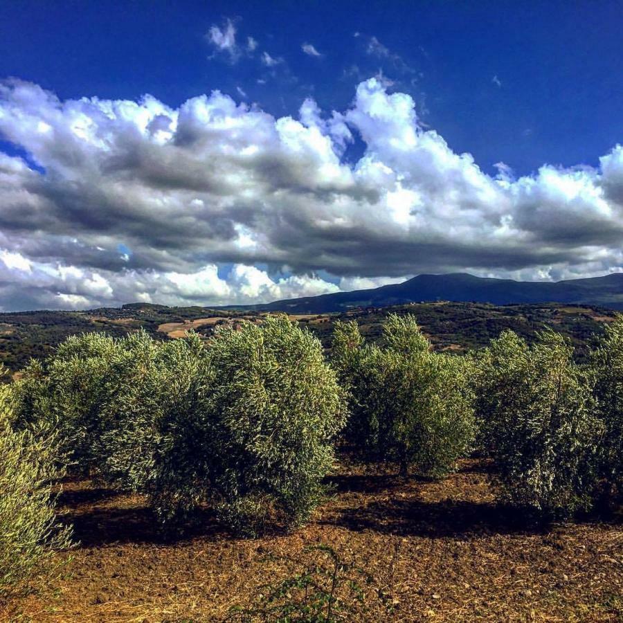 Agriturismo Podere Del Vescovo Montenero d'Orcia المظهر الخارجي الصورة
