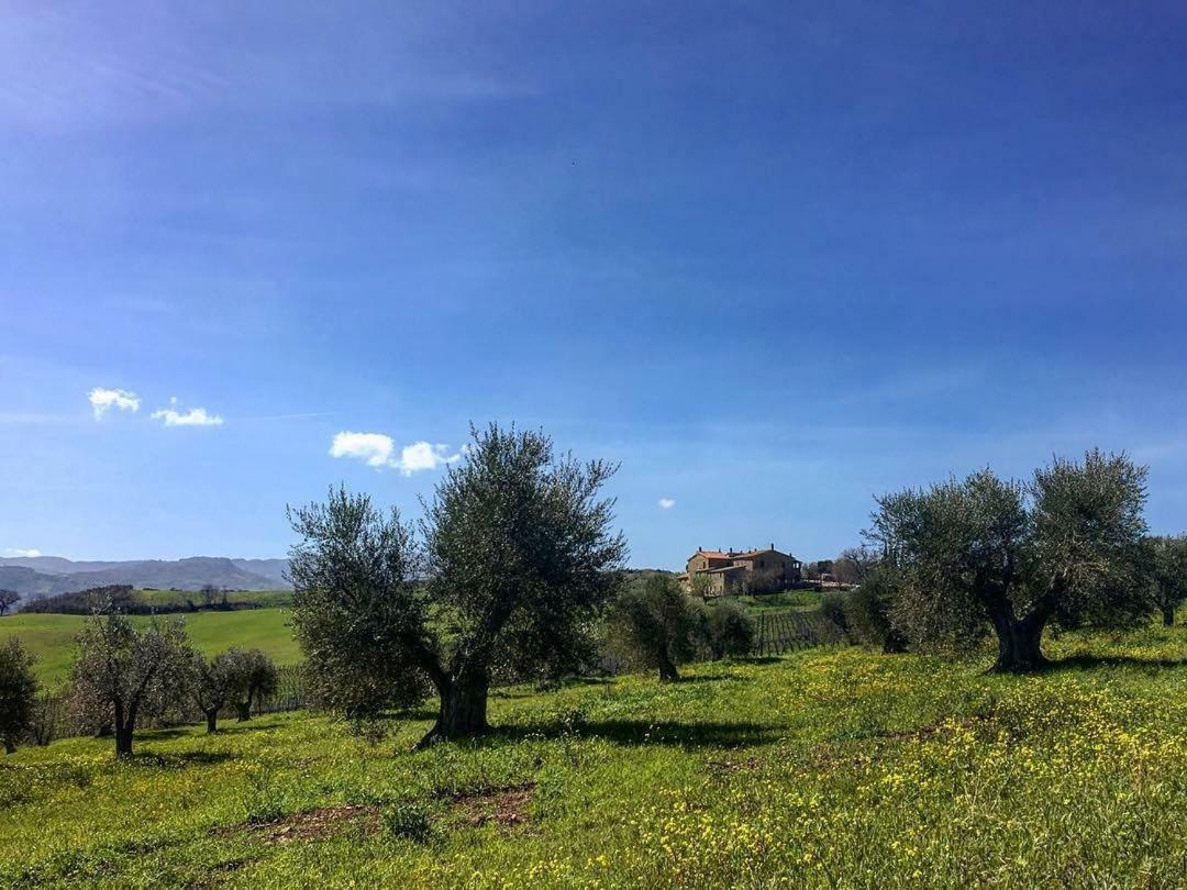 Agriturismo Podere Del Vescovo Montenero d'Orcia المظهر الخارجي الصورة